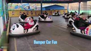Bumper Car