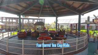 36-Seat Barrel Tea Cup