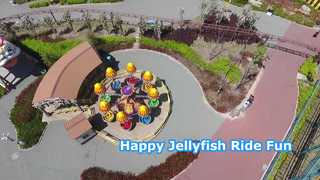 32-passenger Happy Jellyfish